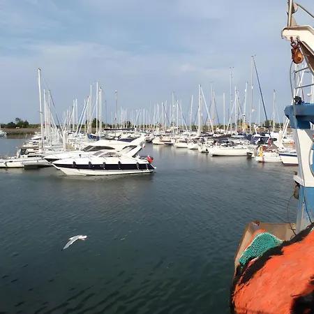 St Vaast Maison-les Mouettes * Saint-Vaast-la-Hougue
