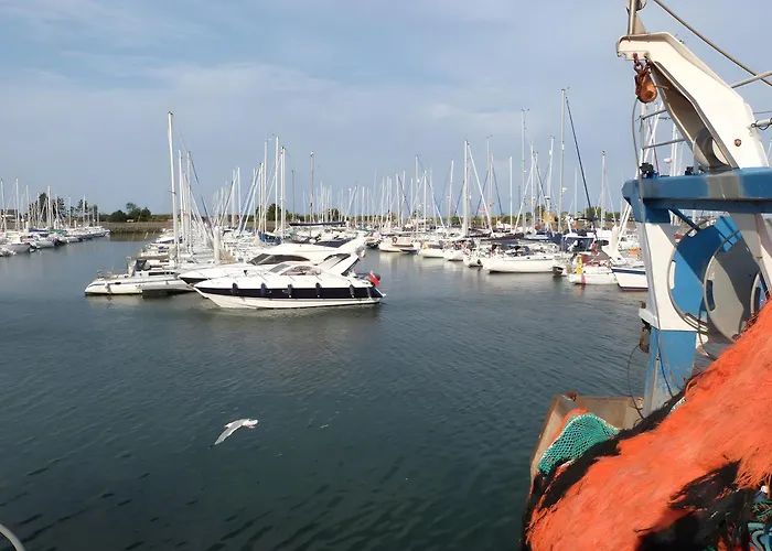 St Vaast Maison-les Mouettes * Saint-Vaast-la-Hougue